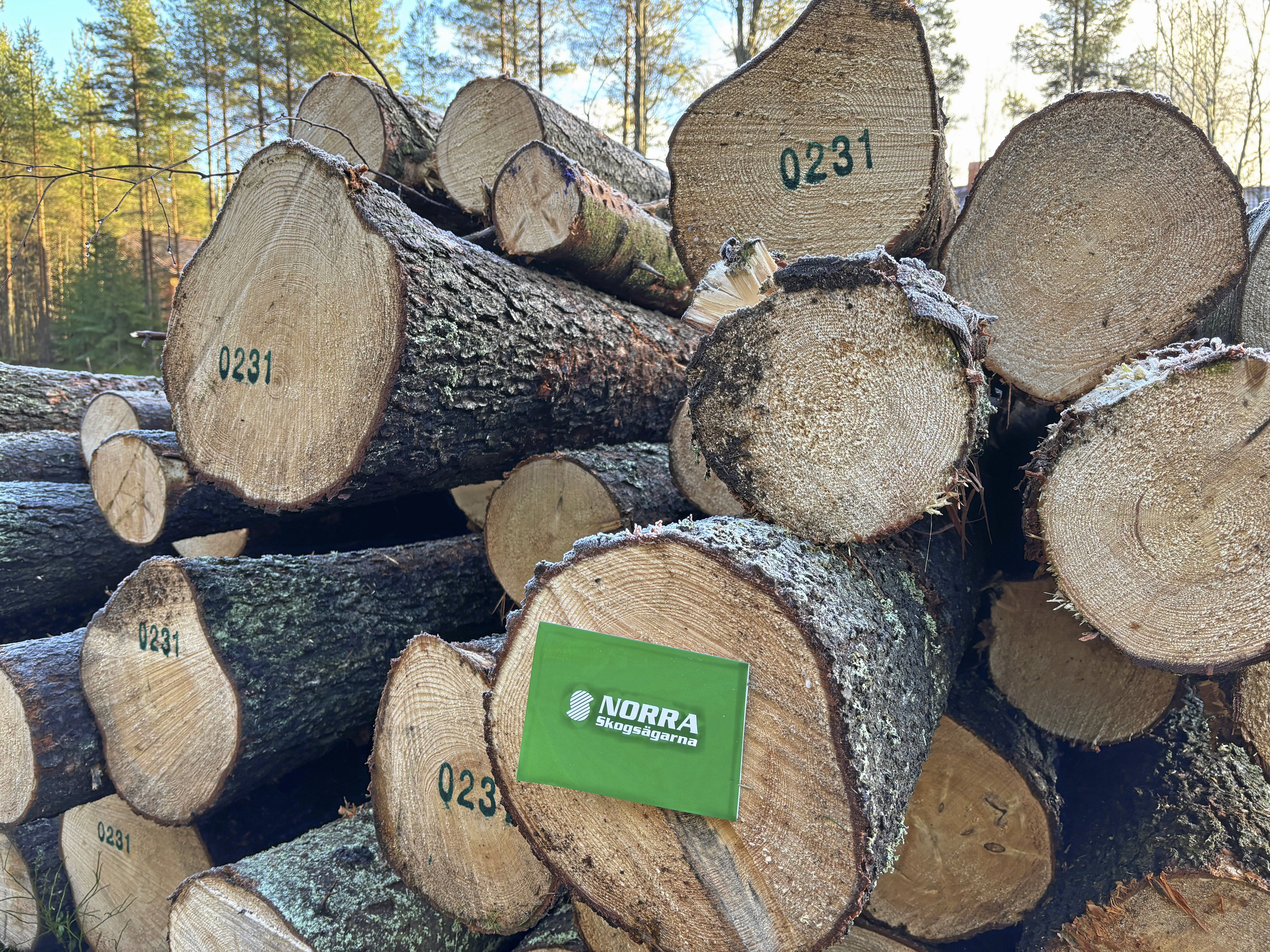 Stapel av märkta timmerstockar i skog med skylt från Norra Skogsägarna