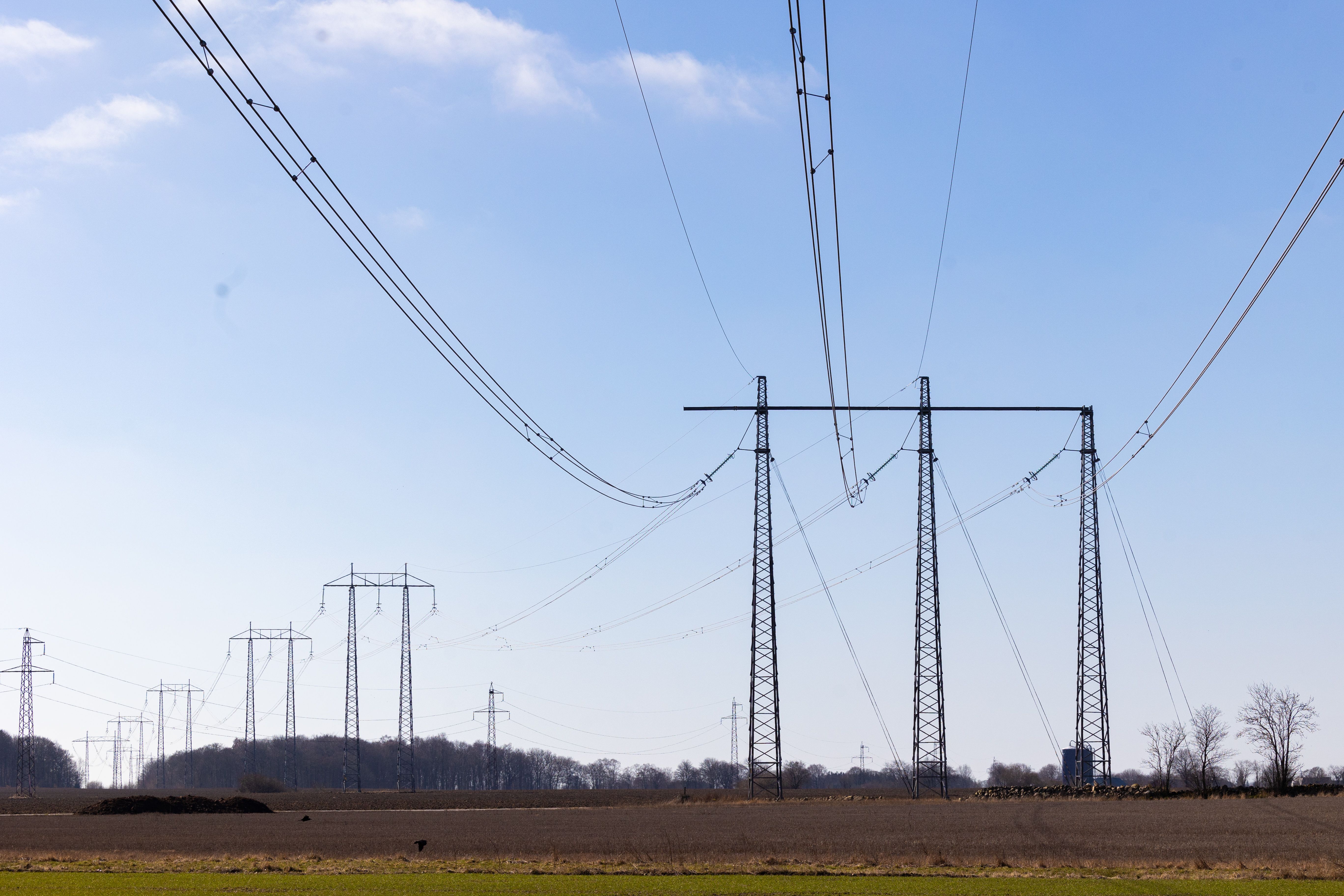 Kraftledning vid Löberöd.