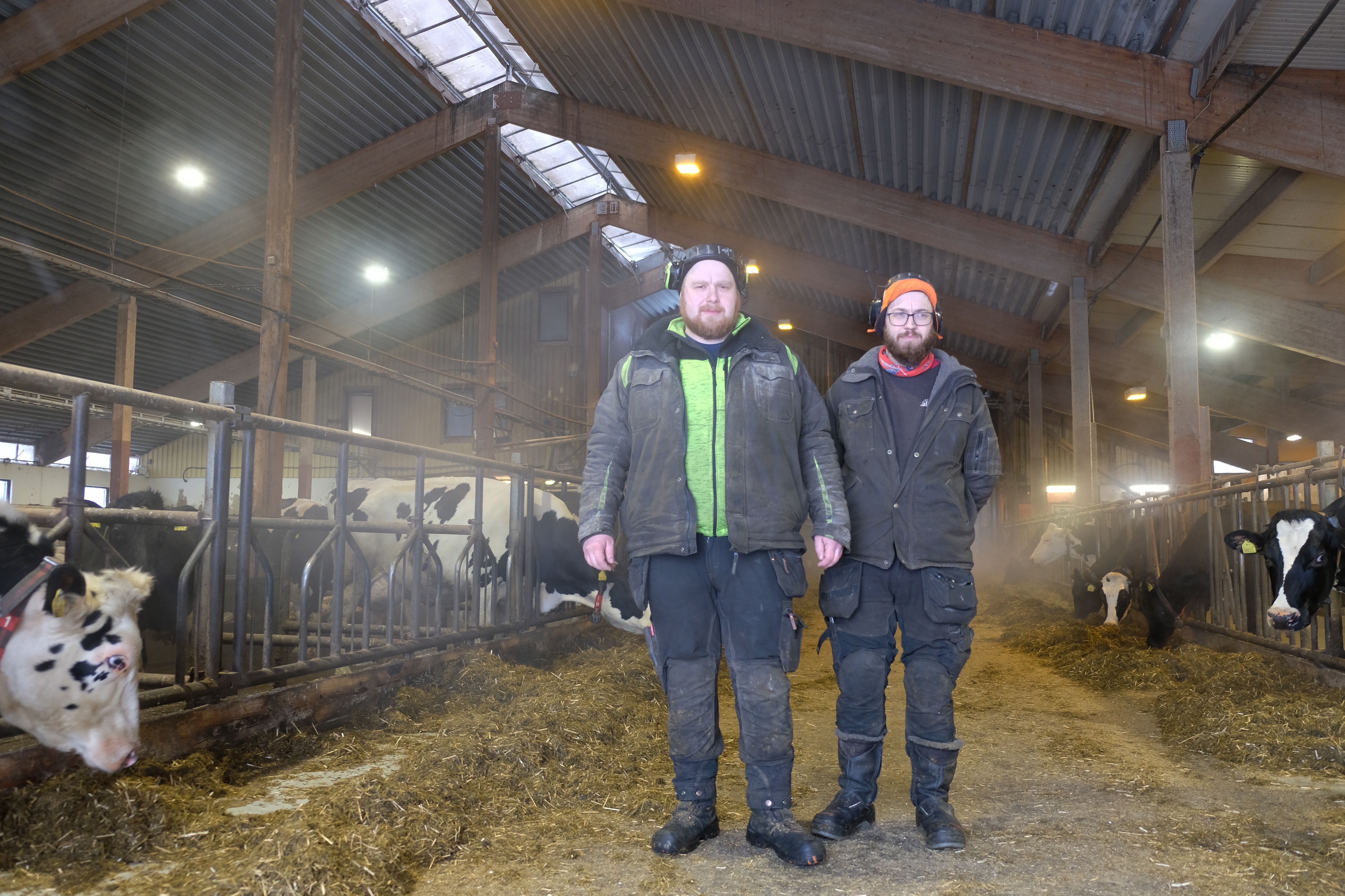 Martin Forslund och Magnus Forslund, mjölkbönder i Häbberfors, Skellfteå.
