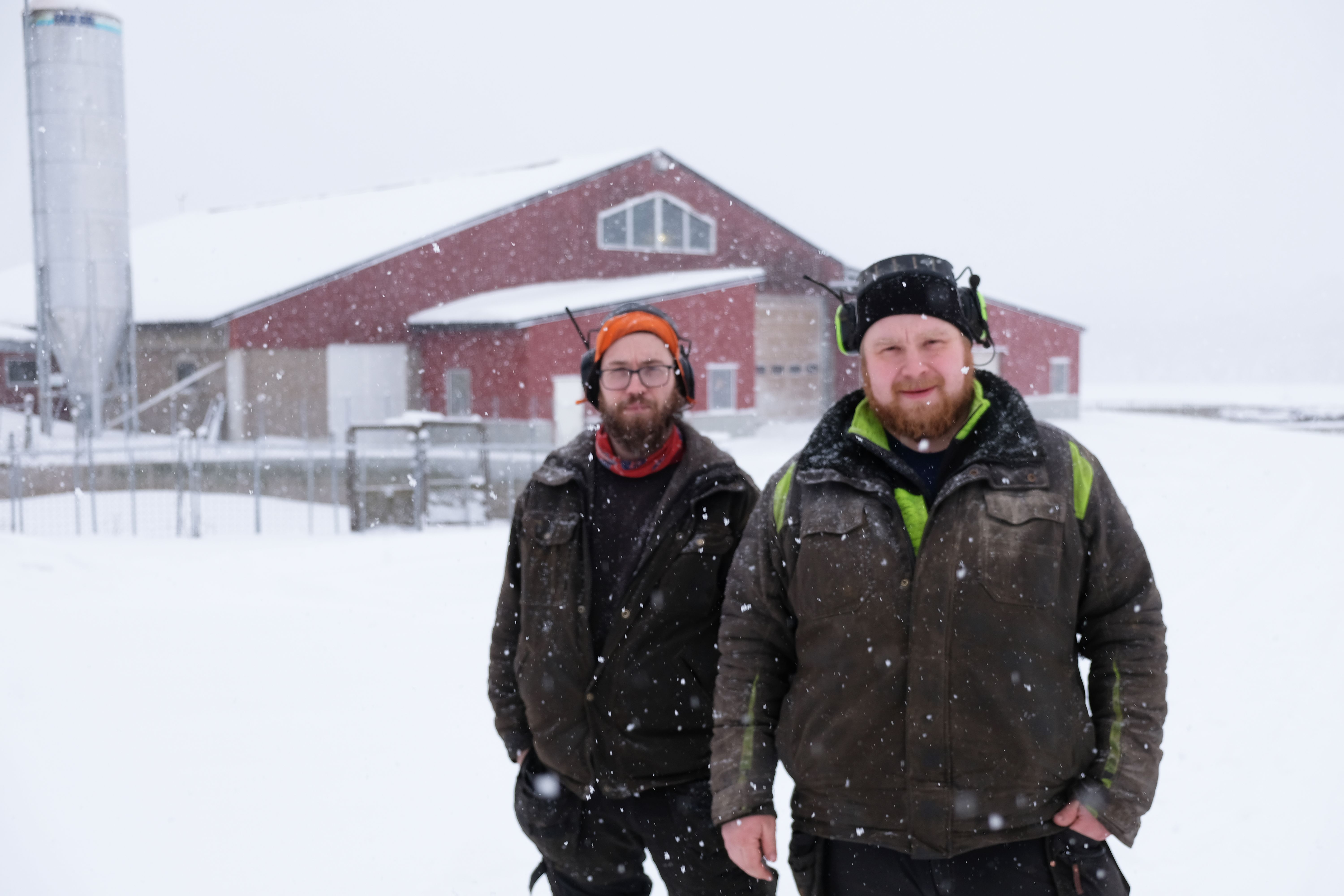 Martin Forslund och Magnus Forslund, mjölkbönder i Häbberfors, Skellfteå.