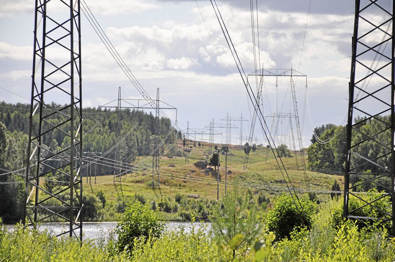 Kraftledning i skog.