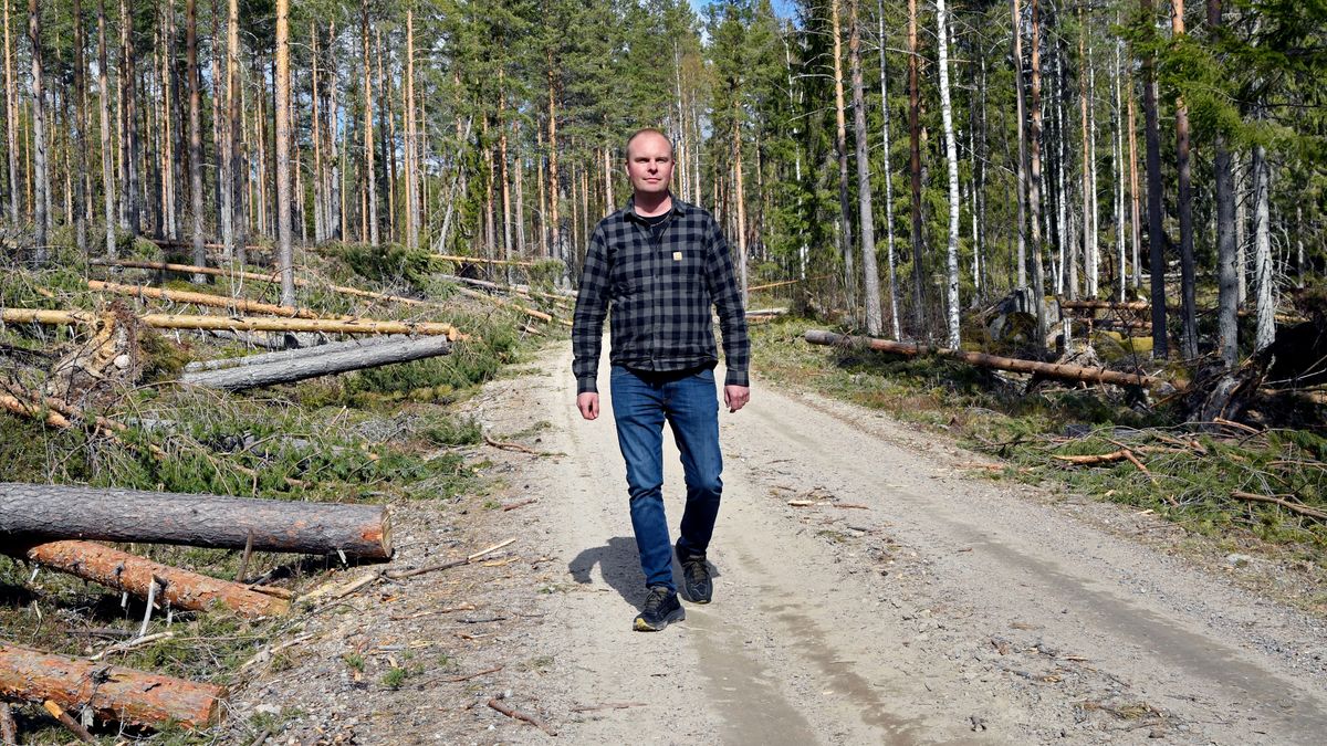 Effektiv vägförvaltning gav snabb röjning efter storm