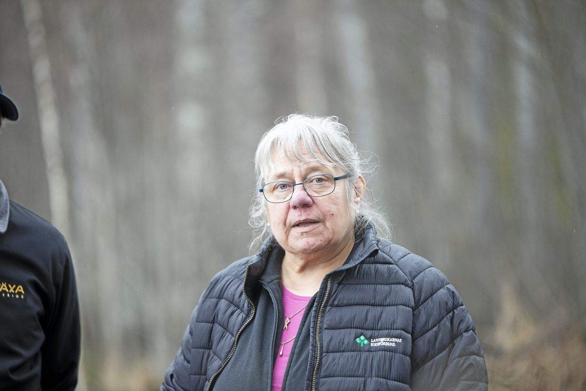 Lotta Zetterlund, LRF:s regionordförande i Gävleborg, under hösten 2025
