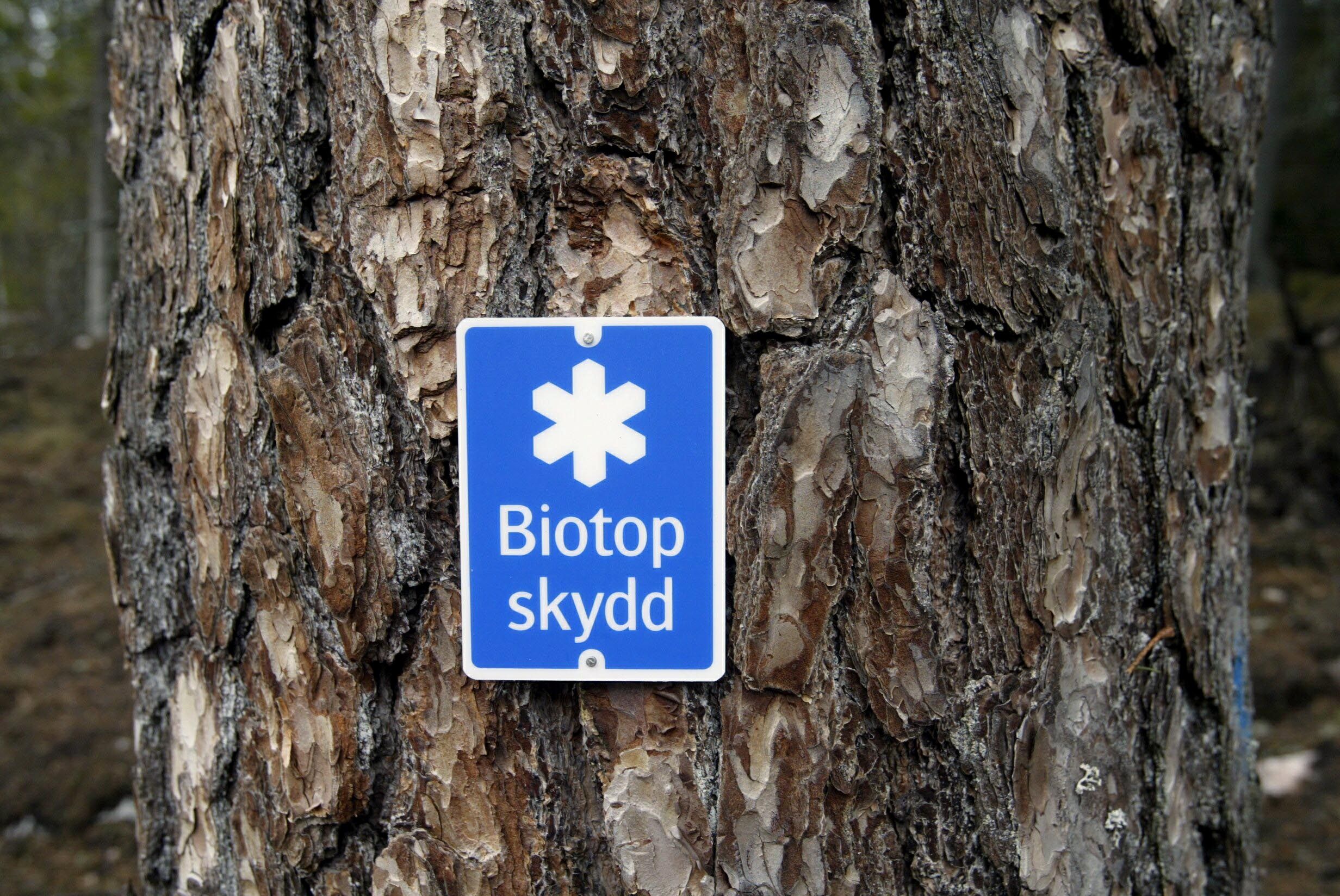 Skylt om biotopskydd uppsatt på tallstam.