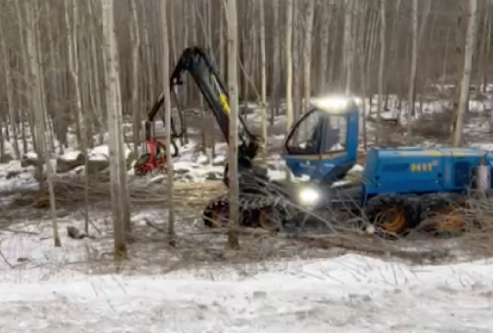 Синяя жатка работает в заснеженном лесу с густыми стволами деревьев.