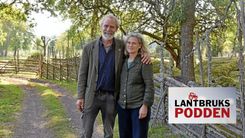 Rossiya teleboshlovchilari va estrada yulduzlarining porno jinsiy aloqasi